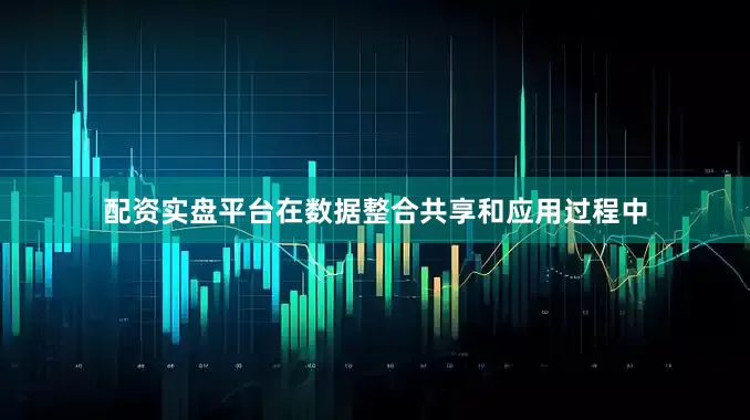 配资实盘平台在数据整合共享和应用过程中