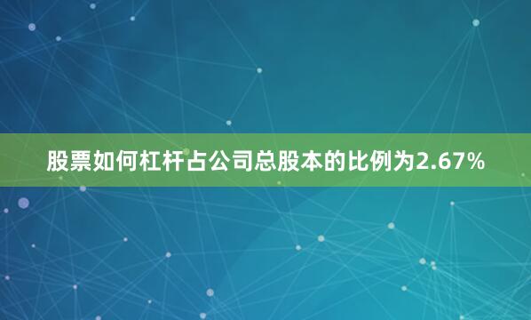 股票如何杠杆占公司总股本的比例为2.67%