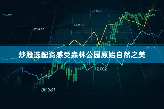 炒股选配资感受森林公园原始自然之美